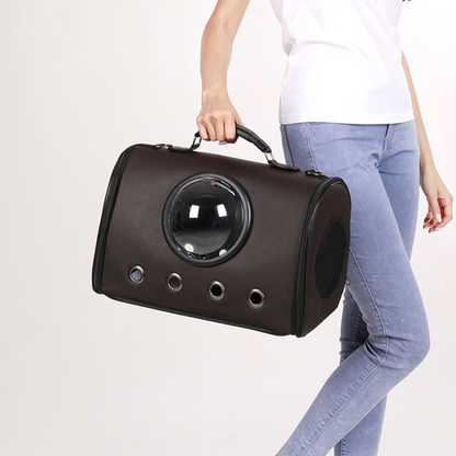 Vliegtuig en Auto Reisetas voor Huisdieren