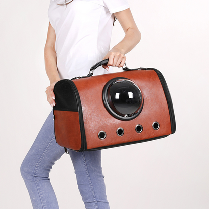 Vliegtuig en Auto Reisetas voor Huisdieren