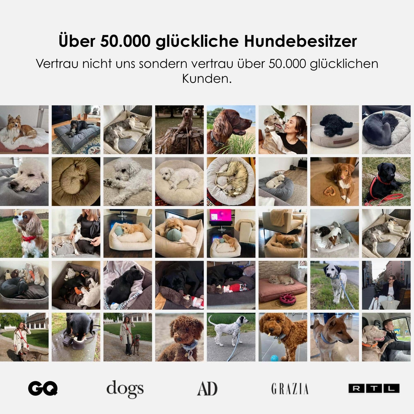 Luxe orthopedisch hondenbed