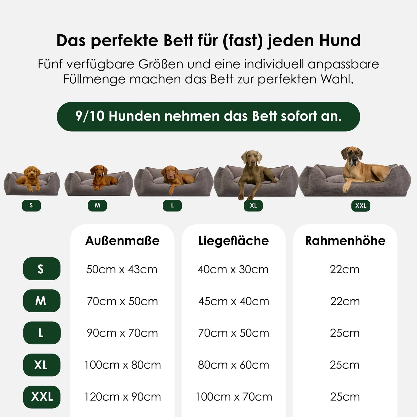 Gewoon orthopedisch hondenbed