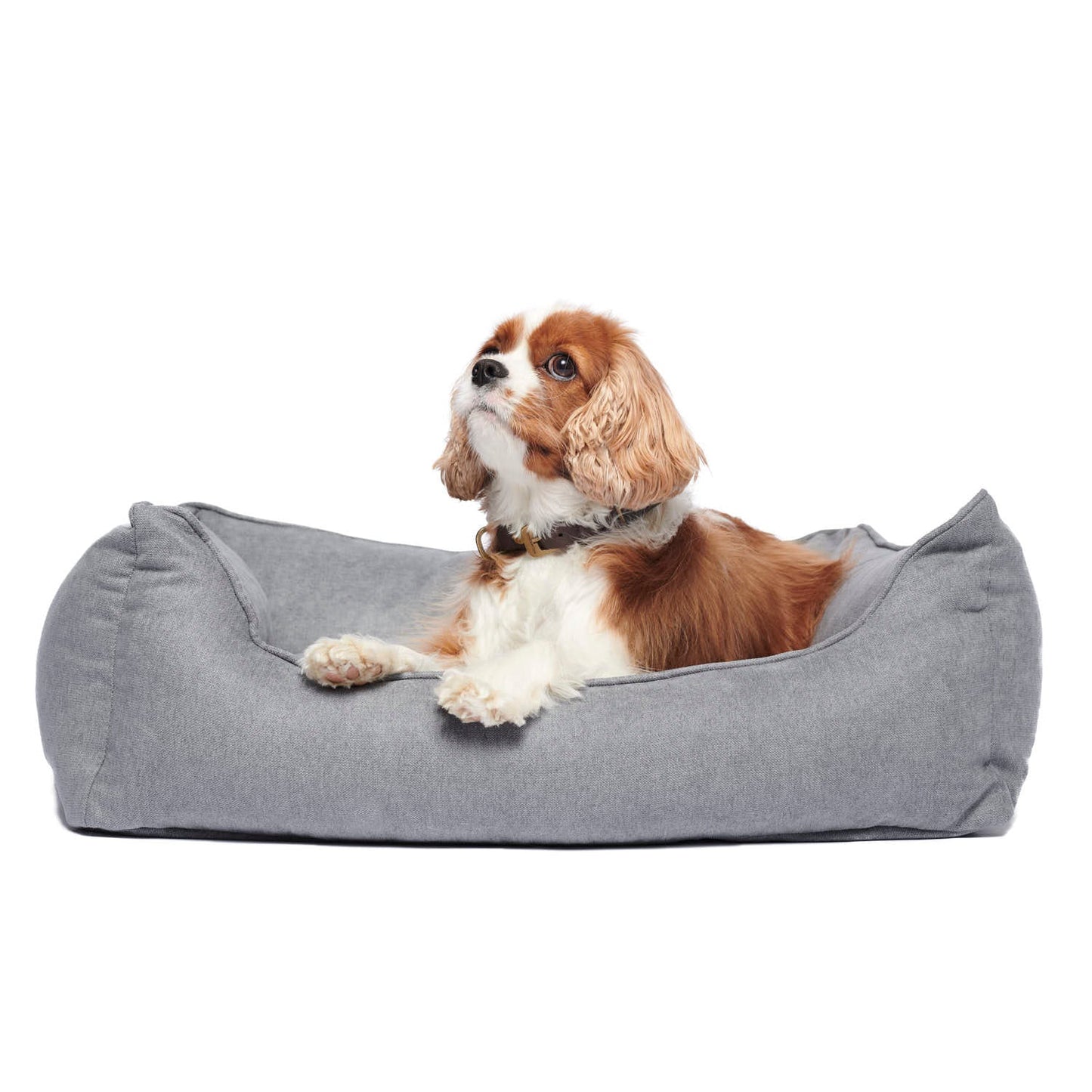 Orthopedisch hondenbed The Cloud (donkergrijs)