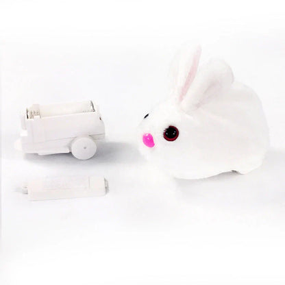 Rollend Katten Speelgoed - FlauschiRoller