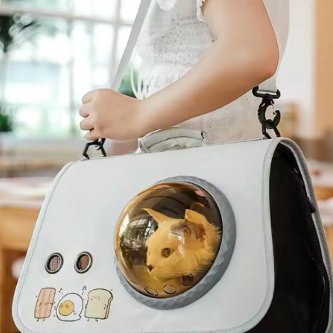 Vliegtuig en Auto Reisetas voor Huisdieren