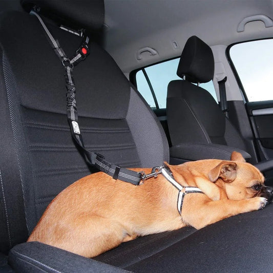 Auto Veiligheidsgordel voor Honden