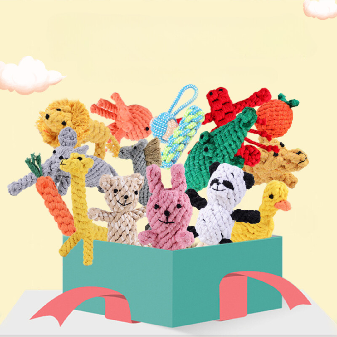 Duurzaam Hondenspeelgoed